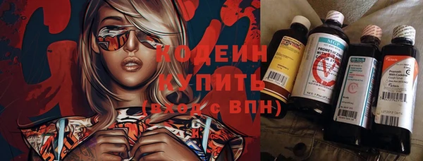 дмт Арсеньев
