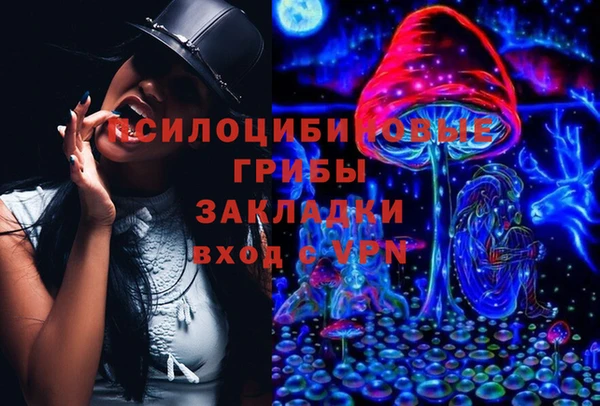 первитин Алексин