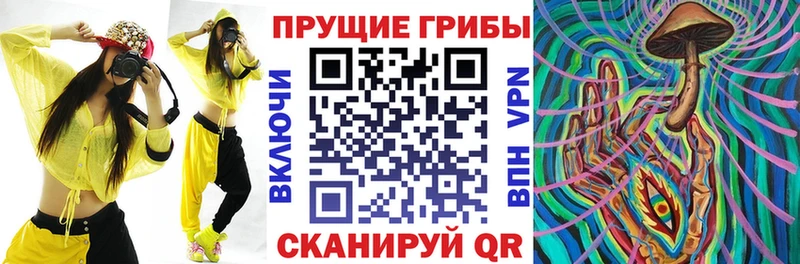 нарко площадка формула  продажа наркотиков  Чернушка  Псилоцибиновые грибы мицелий 