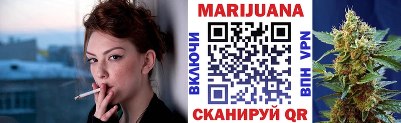 как найти наркотики  Чернушка  Канабис гибрид 